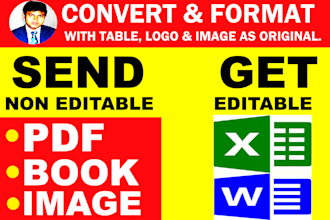 convert pdf to excel, pdf to word data formatting, image to text file conversion