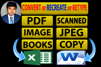 convert pdf to word, convert pdf to excel data entry typing work job retyping ms