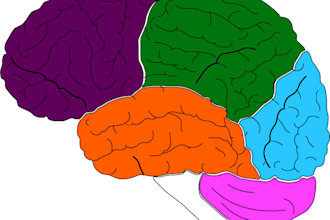 do your medical illustrations