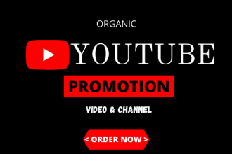 do organic youtube promotion and viral your video on yt