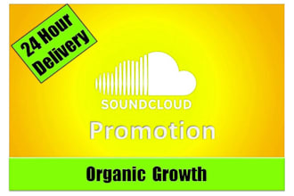 professionally grow your instagram page organically