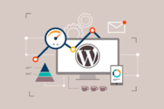 maintain wordpress, drupal, magento, shopify website