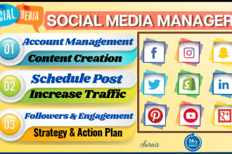 be your social media marketing manager and content creator