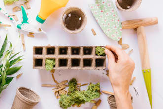 write holistic book for herbs, shrubs, fruits or microgreens