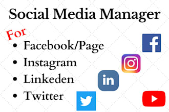 be your social media manager