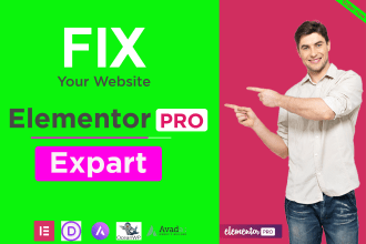be your elementor expert for elementor website by elementor pro fix any problems