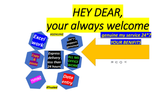 expert in mx excel and data entry and ms office work