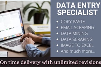 do excel data entry, copy paste, data and email scraping