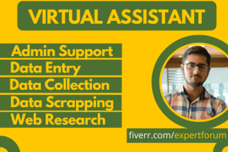 be your personal administrative virtual assistant for data entry, admin support