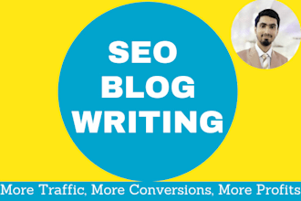 do SEO blog writing and articles for your website