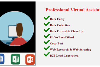 do all types of data entry, copy pest, file convert and excel tasks