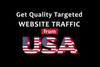 drive USA niche targeted unique google traffic real visitors