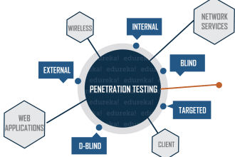 do penetration testing of webapp, network and wifi  with professional report