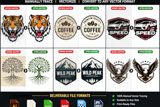 vectorize and convert your logo, image, or sketch to vector