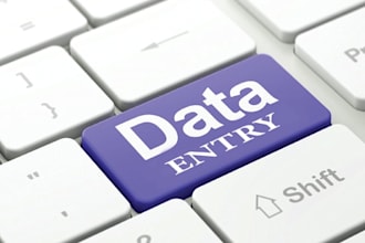 do entry data for your business with spreadsheet