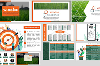 design professional powerpoint presentation design or video