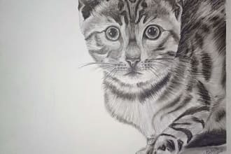 graphite pencil portraits and landscape