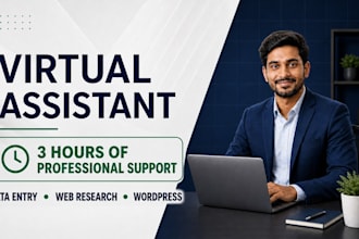 be virtual assistant for 3 hours, data entry and wordpress