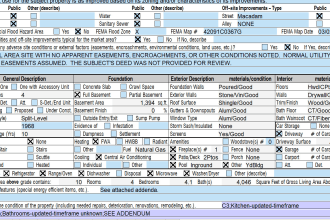 do appraisal reports and provide real estate assistance