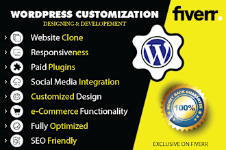 design or duplicate or build wordpress website design
