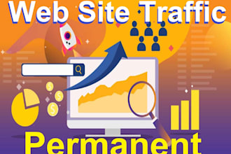 drive USA organic targeted web traffic real visitors for you