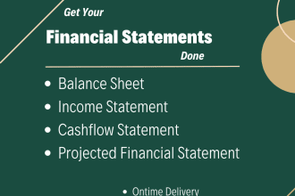 prepare financial statement, profit and loss, balance sheet