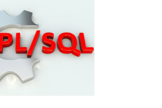 be your database developer, db2, oracle