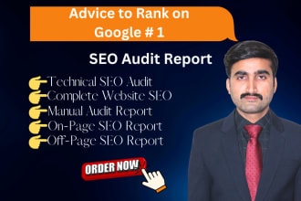 provide manual website audit seo report and web analytics for your site