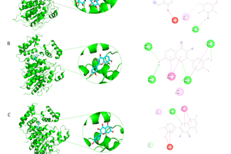 help you with molecular docking bioinformatics