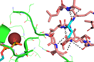 help you in structure prediction ,bioinformatics