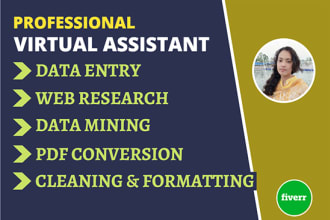 be virtual assistant for data entry, web research, scraping