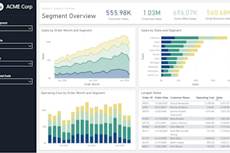 in 24 hrs build insightful power bi dashboards and report for data visualization
