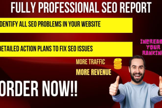 do web seo audit report