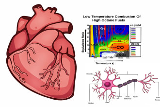 draw science and medical illustrations and anatomy diagrams