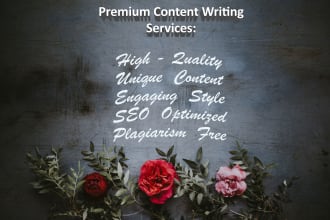 do essays, summary writing, article, report writing, blog post on any niche