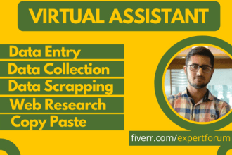 be your VA for excel data entry, email collection,copy paste and web research