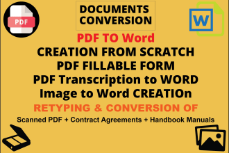 convert PDF to word from scratch professionally
