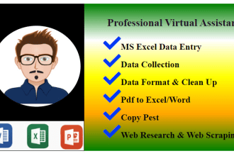 do ms excel data entry, copy pest, web scraping job