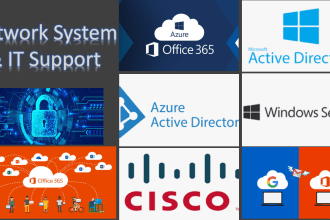 setup, manage and tshoot network, system, server and IT