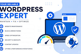 provide maintenance and support for wordpress website