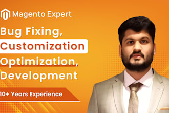 fix bugs, maintain and support your magento 2 store