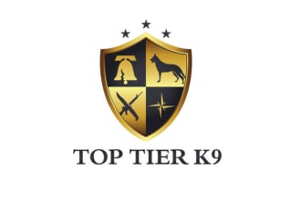 design wonderful cyber security, tech and technology logo with free source file