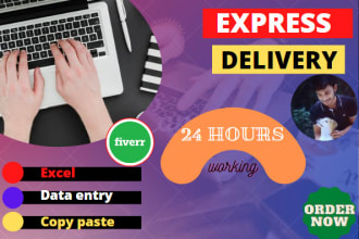 do perfect data entry ms excel ms word and copy paste job