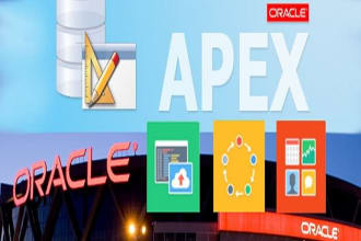 develop oracle apex application professionally