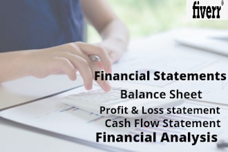 create profit and loss and financial statements for you