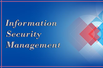 provide services of information security management