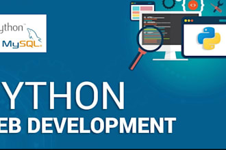 build professional python, django web app and rest API