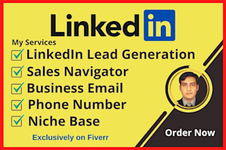 provide b2b linkedin lead generation services