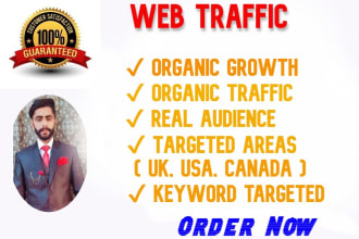 drive UK, USA targeted web traffic