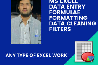 do fastest excel data entry jobs